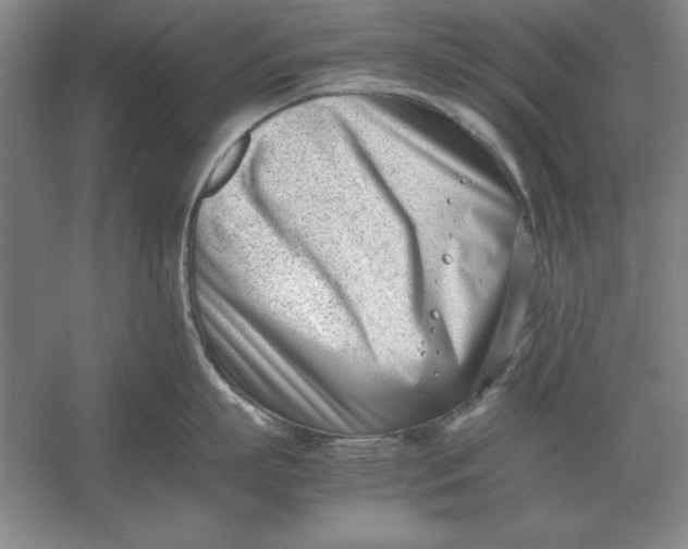 X0000054430863200508192122