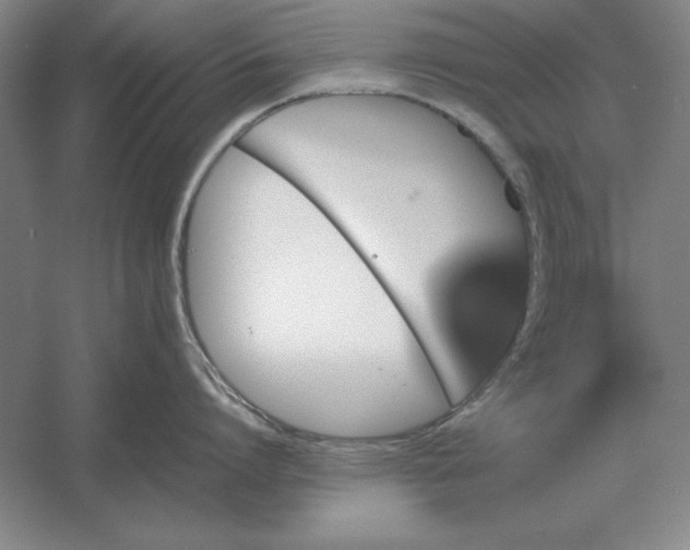 X0000054430864200508192122