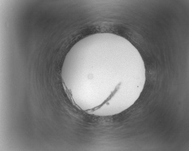 X0000054430865200508192121