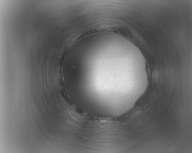 X0000054430868200508192121