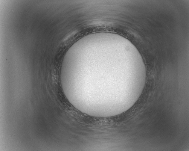 X0000054430869200508192121