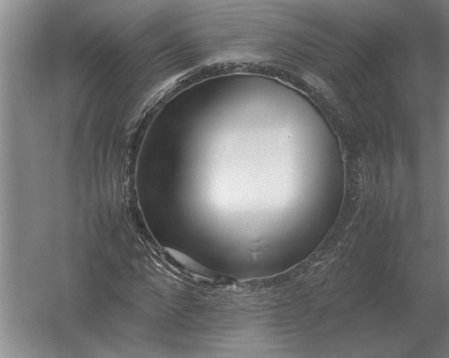 X0000054430872200508192121