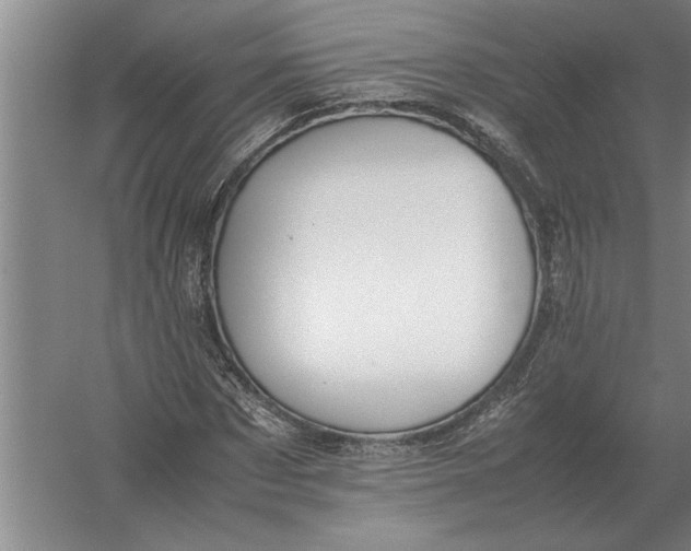 X0000054430873200508192121