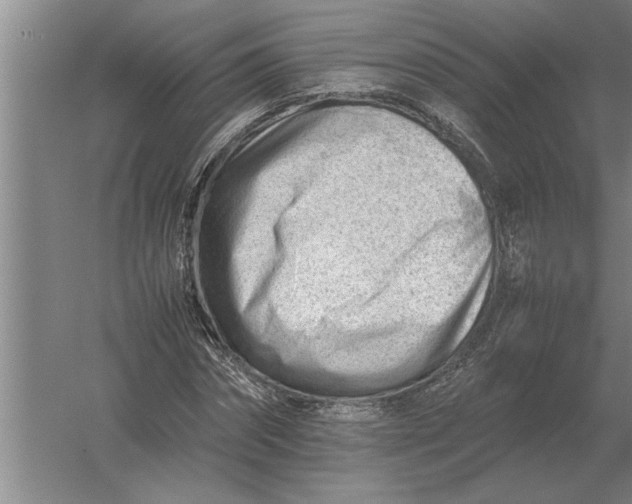 X0000054430874200508192121