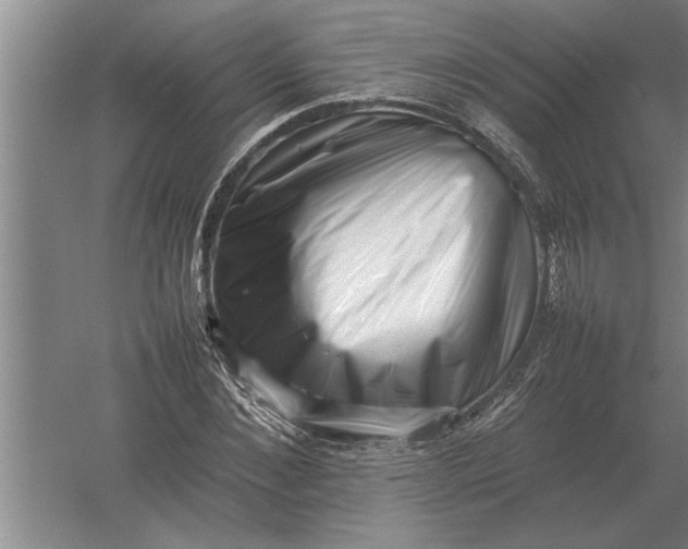 X0000054430876200508192121