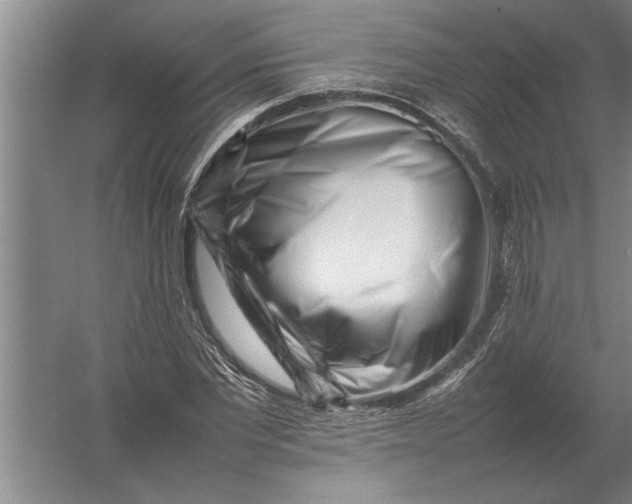 X0000054430877200508192121