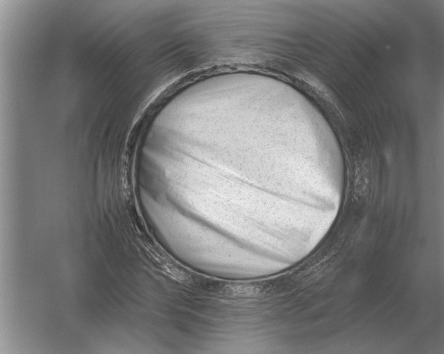 X0000054430878200508192121