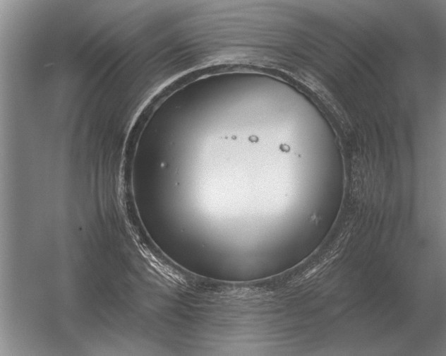 X0000054430880200508192121