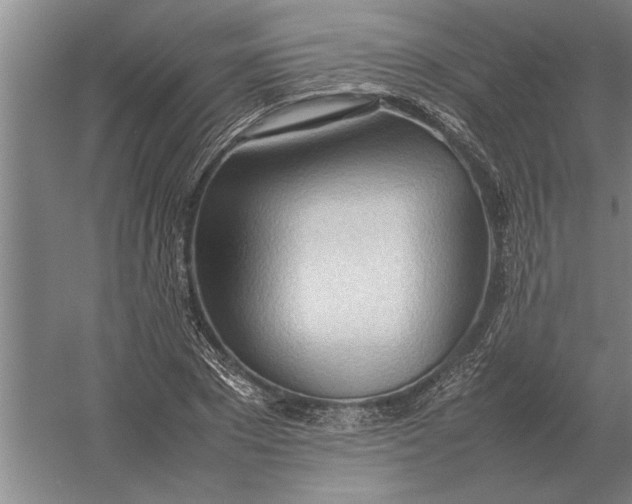 X0000054430881200508192121