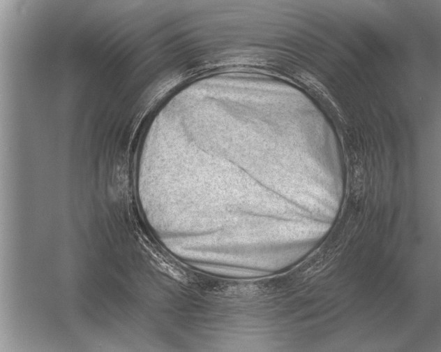 X0000054430882200508192121