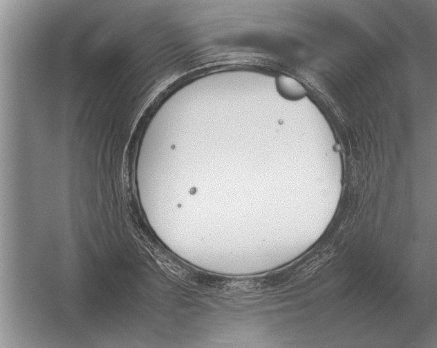 X0000054430883200508192121