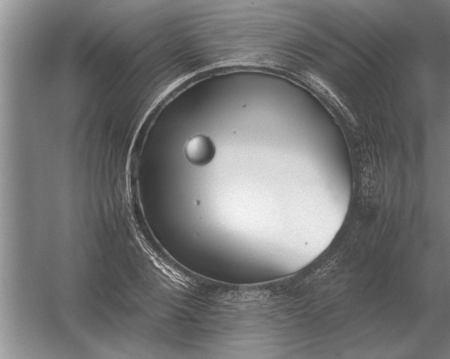 X0000054430884200508192121