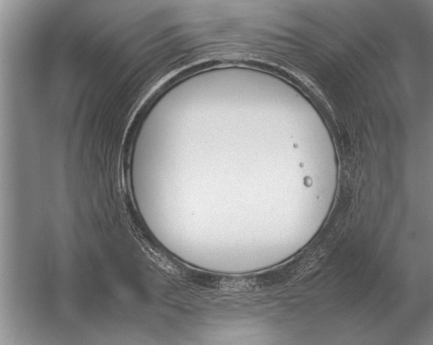 X0000054430887200508192121