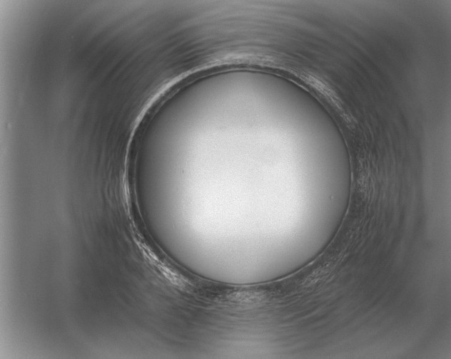 X0000054430888200508192121