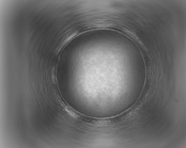 X0000054430889200508192121