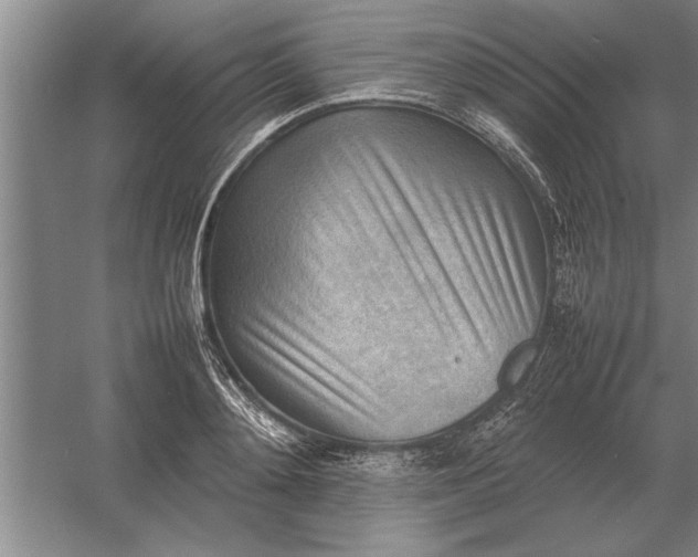 X0000054430892200508192120