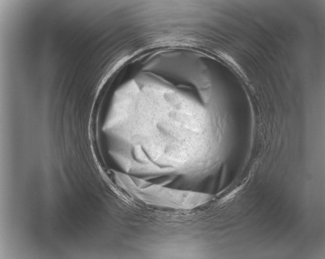 X0000054430893200508192120