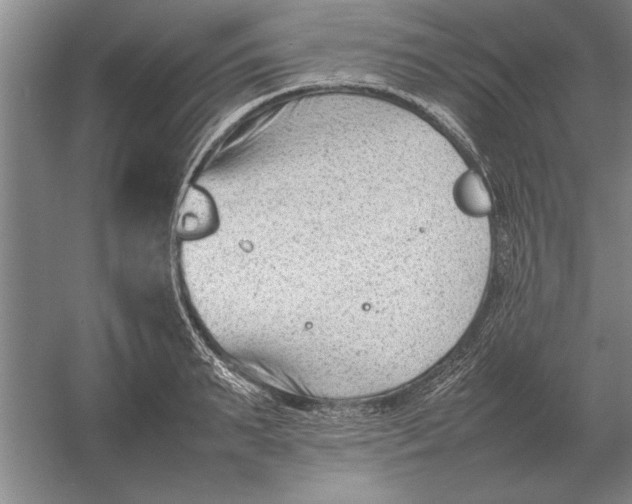 X0000054430895200508192120