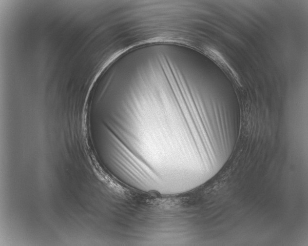 X0000054430900200508192120