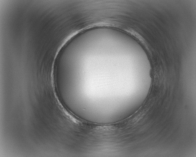 X0000054430902200508192120