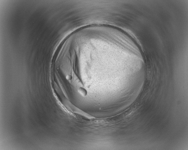 X0000054430903200508192120