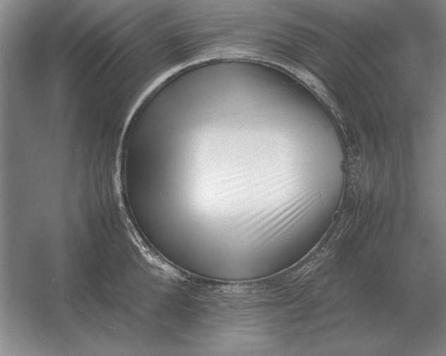 X0000054430904200508192120