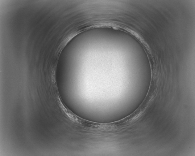 X0000054430905200508192120