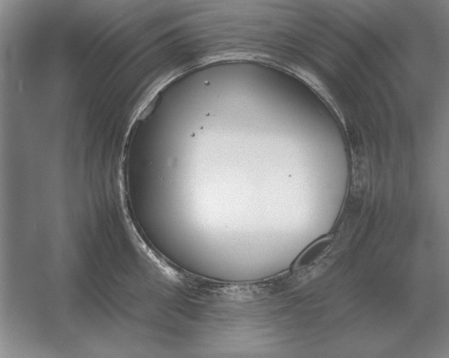 X0000054430906200508192120