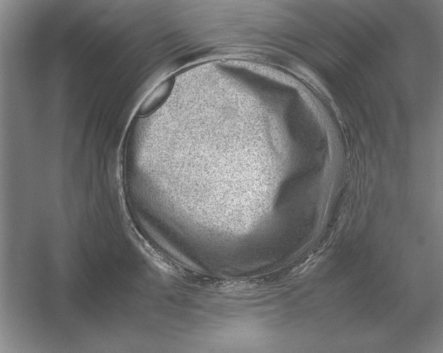 X0000054430907200508192120