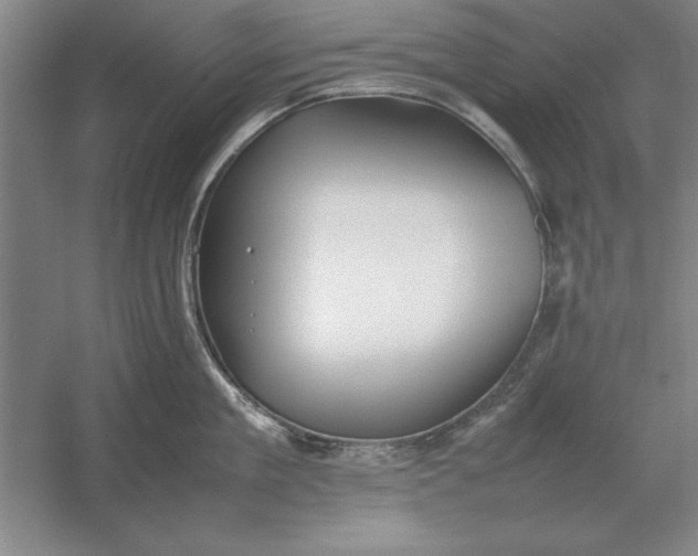 X0000054430909200508192120