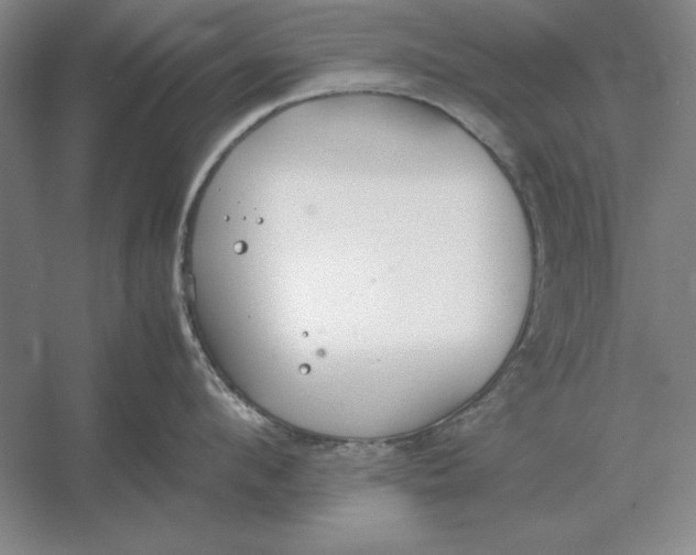 X0000054430912200508192120