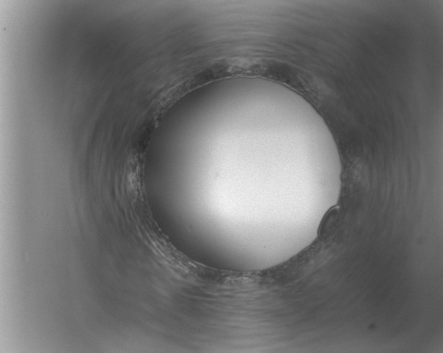 X0000054430914200508192119