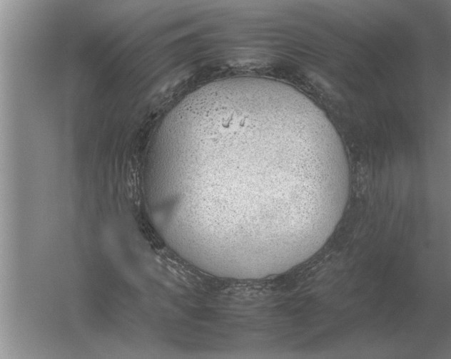 X0000054430917200508192119