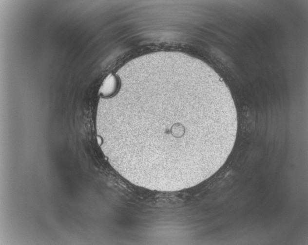 X0000054430918200508192119