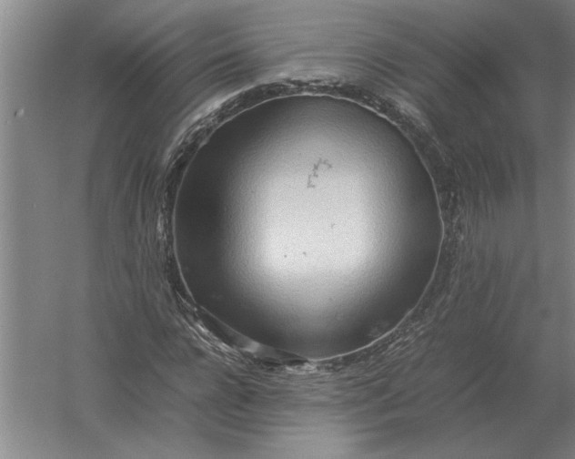 X0000054430920200508192119