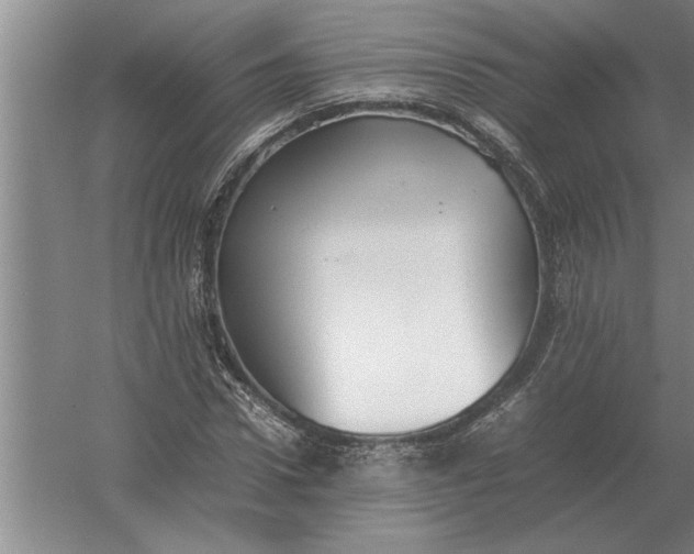 X0000054430922200508192119