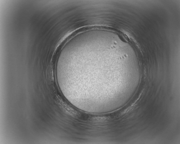 X0000054430925200508192120