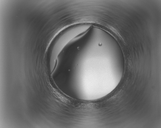 X0000054430926200508192120