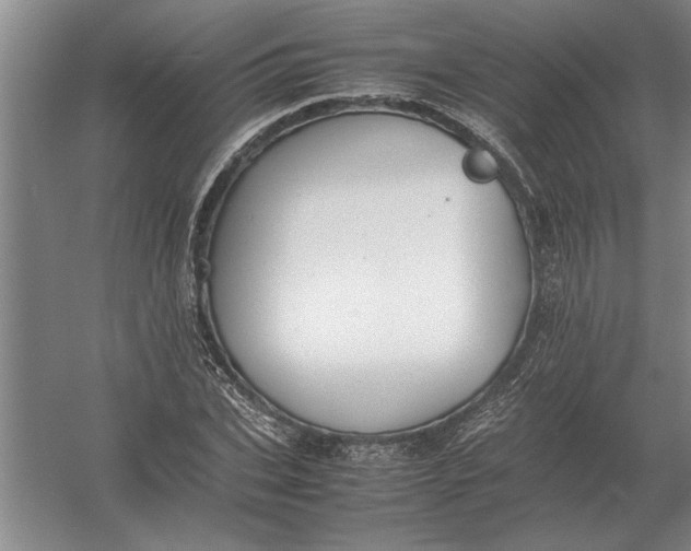 X0000054430927200508192120