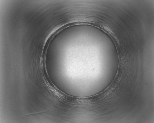 X0000054430928200508192120