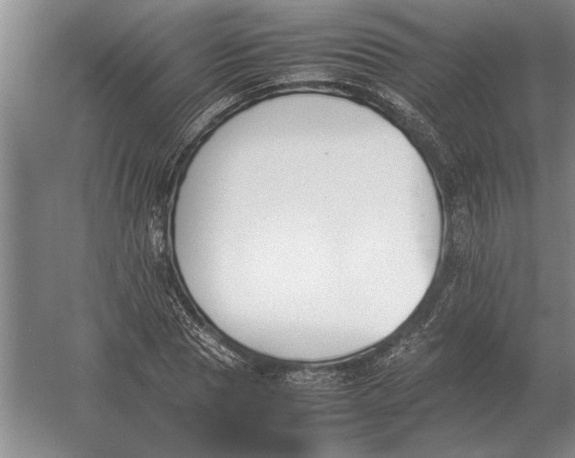 X0000054430929200508192120