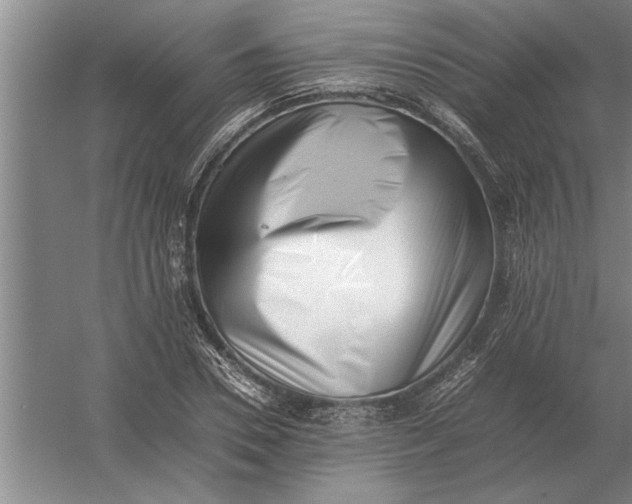 X0000054430930200508192120