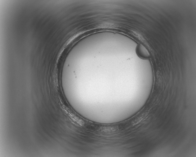 X0000054430931200508192120