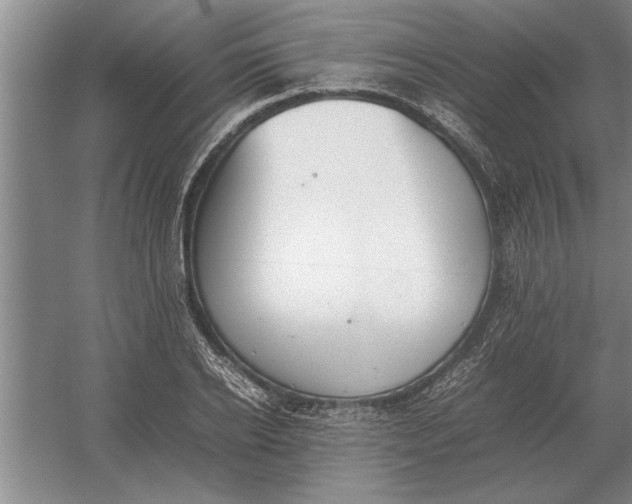 X0000054430934200508192120