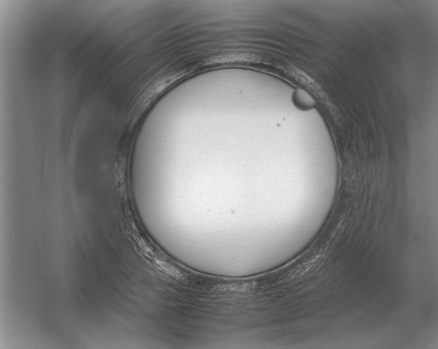 X0000054430937200508192120