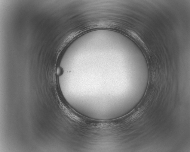 X0000054430938200508192120