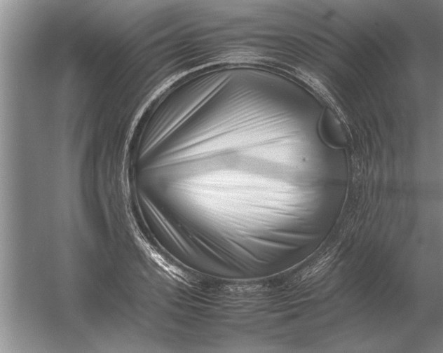 X0000054430939200508192120