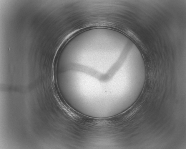 X0000054430940200508192120