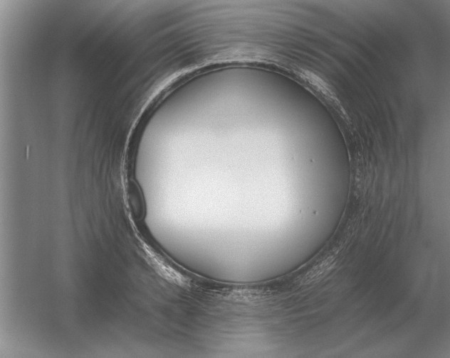 X0000054430942200508192120