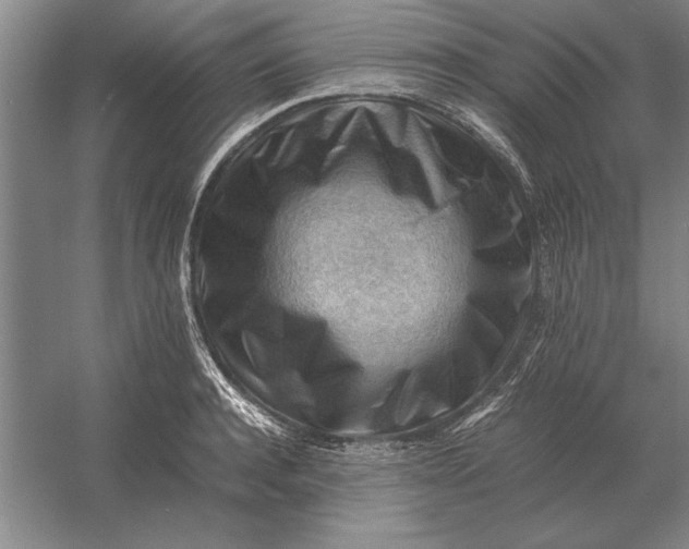 X0000054430944200508192120